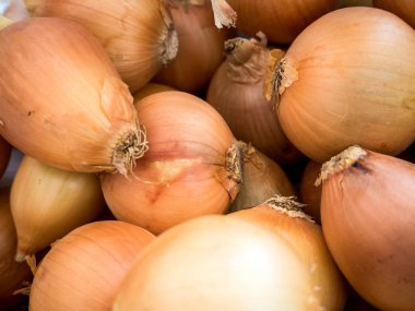 Lezzetli taze soğan