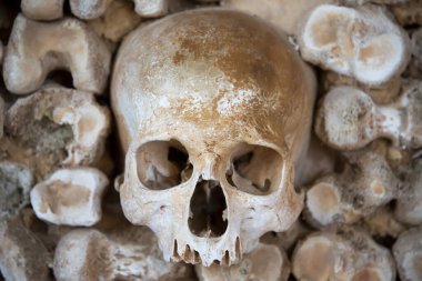 Portekiz, Faro 'daki Kemik Şapeli' nde kemiklerle örülmüş duvar.