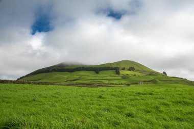 Bir çayırda alçak bulut örtüsü, San Miguel adası, Azores, Portekiz