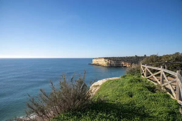 Hautes Falaises Sur Rive Océan Atlantique Portugal Algarve — Photo