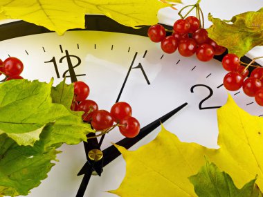 Fall back, winter time. Clock face with leaves and viburnum. clipart