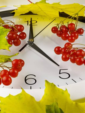 Saat 5'te. Saat yüzü sarı yapraklar ve kırmızı olgun kartopu. Sonbahar.