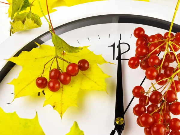 12 Uhr. Das Gesicht der Uhr mit gelben Blättern und rotem, reifem Viburnum. Herbstzeit. — Stockfoto