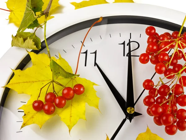 11 Uhr. Das Gesicht der Uhr mit gelben Blättern und rotem, reifem Viburnum. Herbstzeit. — Stockfoto