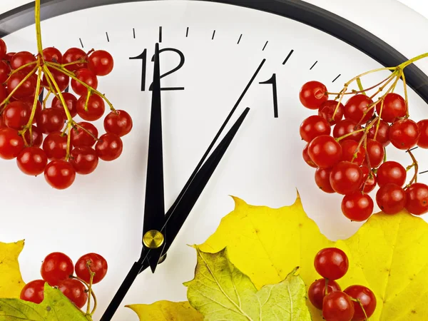1 Uhr. Das Gesicht der Uhr mit gelben Blättern und rotem, reifem Viburnum. Herbstzeit. — Stockfoto