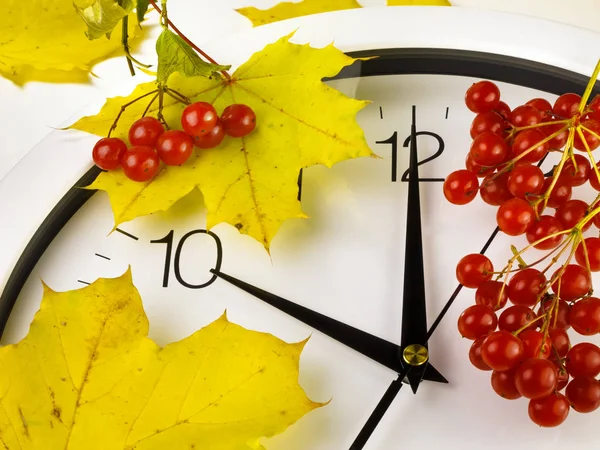10 Uhr. Das Gesicht der Uhr mit gelben Blättern und rotem, reifem Viburnum. Herbstzeit. Stockfoto