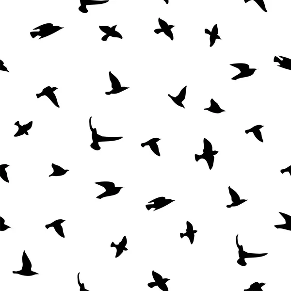 Silhouettes d'oiseaux. Vecteur . — Image vectorielle