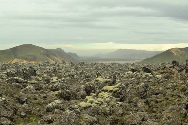 İzlanda'daki lav alanları.