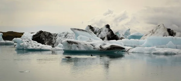 İzlanda 'da buz gölü. — Stok fotoğraf