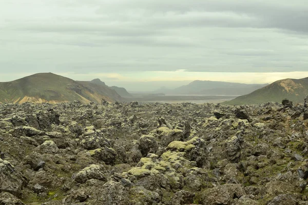 İzlanda'daki lav alanları.