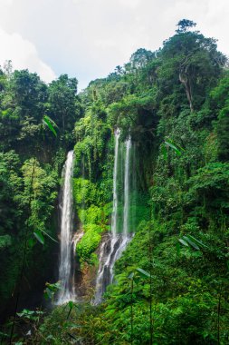 Sekumpul şelale Bali