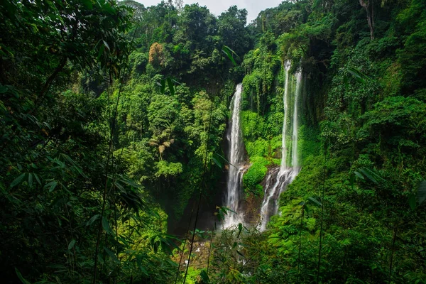 Sekumpul wasserfall in bali lizenzfreie Stockbilder