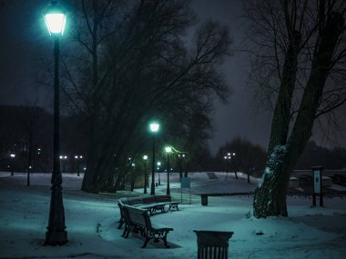 kış kar orman tezgah ışık