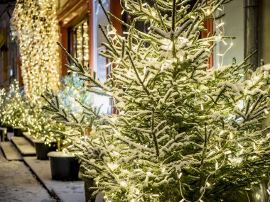 Noel ağacı ışıkları, gece karlı weathe ile dekore edilmiş