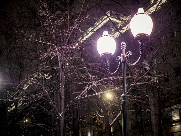 Noční Zimní Světlo Během Sněžení Prosinci — Stock fotografie