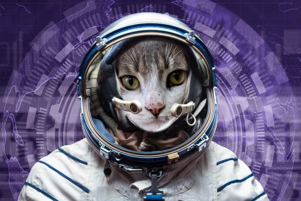 Любопытная кошка-астронавт в открытом космосе, исследующая Вселенную, элементы этого образа — стоковое фото