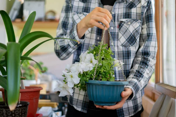 Close-up persoon houden pot met een bloem plant indoor thuis — Stockfoto