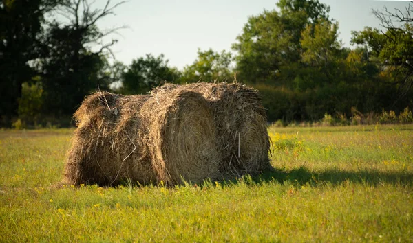 a haystack roll on the summer field under sunshine, the food for domestic animals