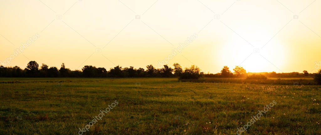 idylic summer field with grass panorama, nature landscape during sunset