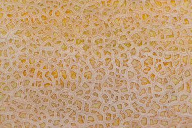 Yakın plan beyaz torpido kavun meyve deseni arka plan maketi.