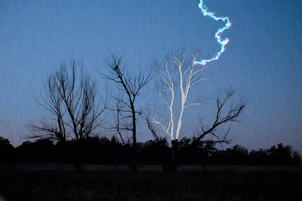 Blitz schlägt bei starkem Regen und Orkan in Baum in Wüste ein — Stockfoto