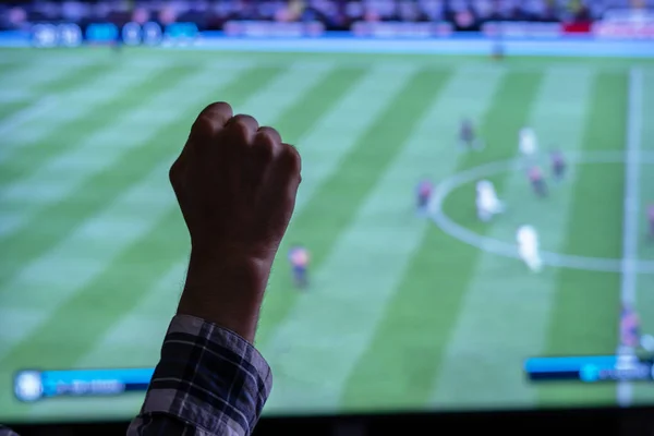 Een Voetbal Van Voetbal Fan Juichen Voor Zijn Nationale Team — Stockfoto