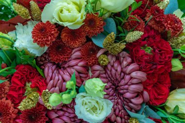 Renkli tomurcuklu tebrik kartı için soyut arkaplan