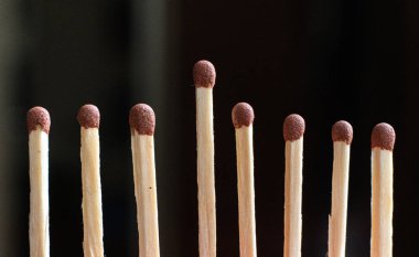 Diğerlerinin arasında benzersiz bir ahşap eşleşme, takım çalışması fikri.