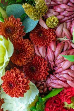 Renkli tomurcuklu tebrik kartı için soyut arkaplan