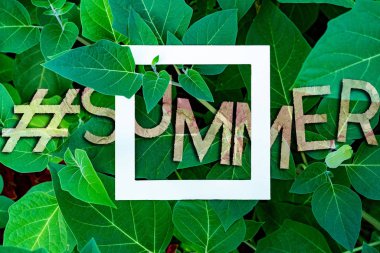 Yapraklar ve çiçek arkaplanı üzerinde beyaz kare çerçeveli bir hashtag yazı sözlüğü metni