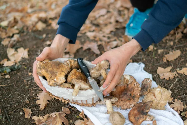 Basket Gathered Mushrooms Knife Ground Flat Lay — Stock Photo, Image