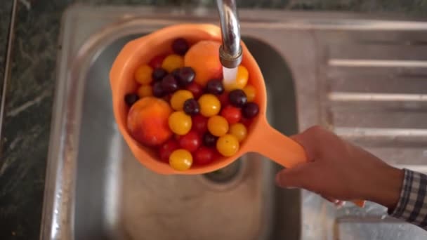 Het Wassen Van Vers Fruit Bessenbord — Stockvideo