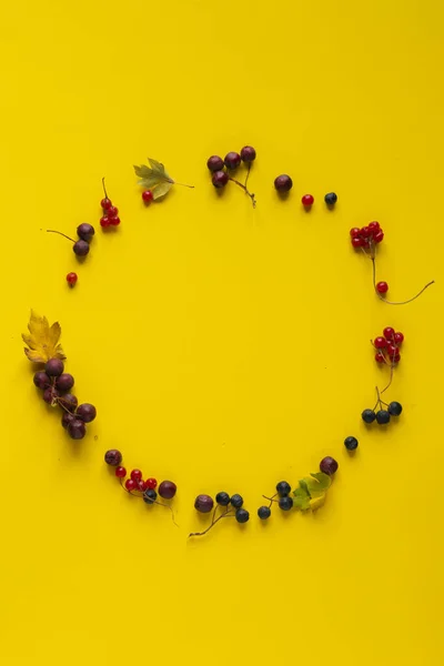 A top view of the circle frame made of fresh berries, mockup copy space design flat lay — Stock Fotó