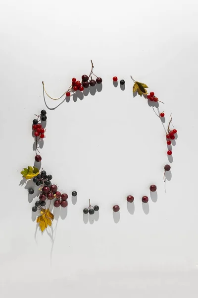 A top view of the circle frame made of fresh berries, mockup copy space design flat lay — 스톡 사진