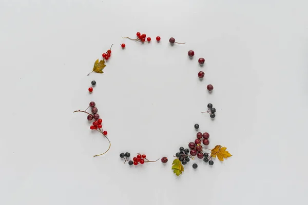 A top view of the circle frame made of fresh berries, mockup copy space design flat lay — 스톡 사진