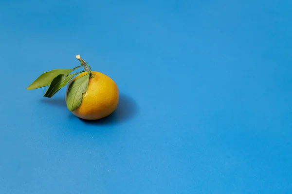 Простий смачний мандарин на кольоровій поверхні з зеленим листям і гілкою, екологічна їжа — стокове фото