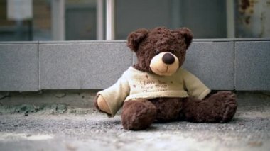 İnsan eli dışarıdaki kirli oyuncak ayıyı tutar, konsepti kaybeder.