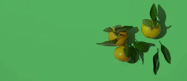 Eine Einfache Schmackhafte Mandarine Auf Der Farbfläche Mit Grünen Blättern — Stockfoto