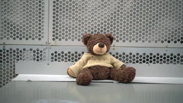 Teddybär Aus Nächster Nähe — Stockvideo