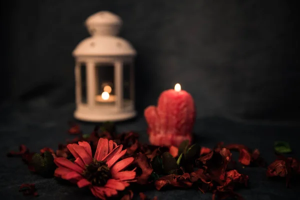 Natureza morta num fundo escuro. Decoração de velas e castiçais, com margaridas e folhas vermelhas. Foco seletivo . — Fotografia de Stock