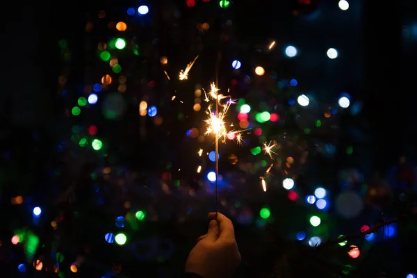 Bengal fire burns near the Christmas tree — Stock Photo, Image