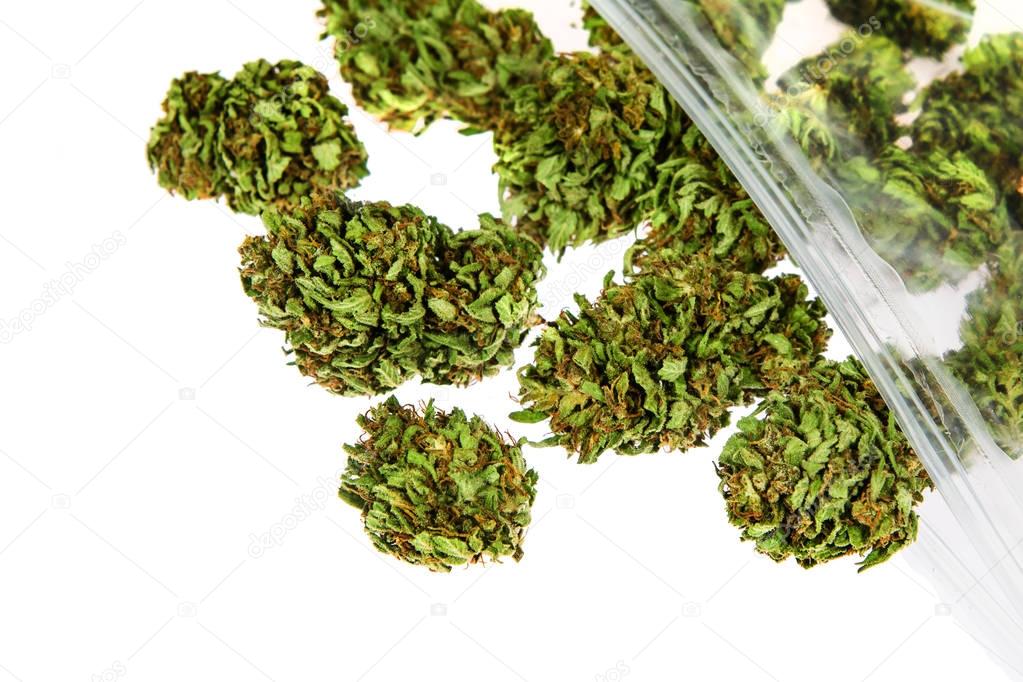 Marijuana buds isolated on white background