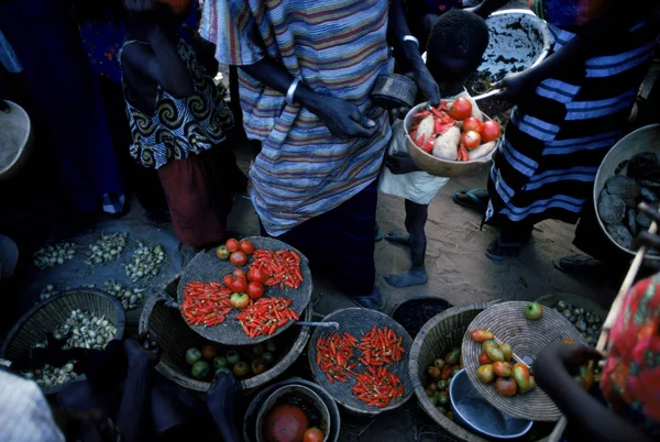 Village Kani Kombal Selective Focus — Stock Photo, Image