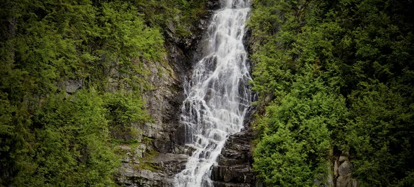 Cascada Con Exuberante Follaje Verde Cada Lado — Foto de Stock