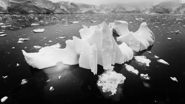 Iceberg Tormenta Nieve Port Lockroy Isla Wernicke Península Antártica Antártida — Foto de Stock