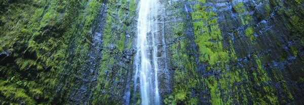 Vue Panoramique Sur Les Chutes Waimoku Dans Sentier Pipiwai Maui — Photo
