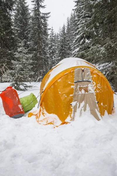 Tenda Gialla Allestita Nei Boschi Durante Nevicate — Foto Stock