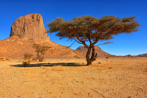 Resten Van Een Vulkaan Hoggar Ahaggar Gebergte Wilaya Tamanrasset Algeria — Stockfoto