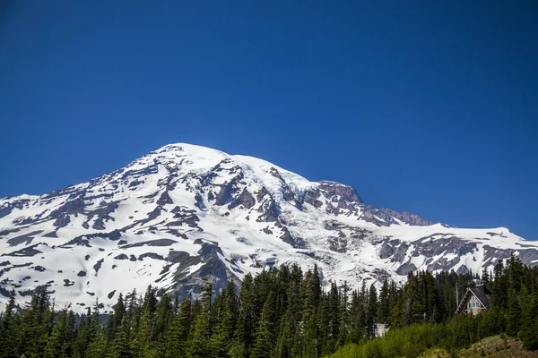 Mount Rainier Milli Parkı Washington Abd Deki Manzarasına Bakan — Stok fotoğraf