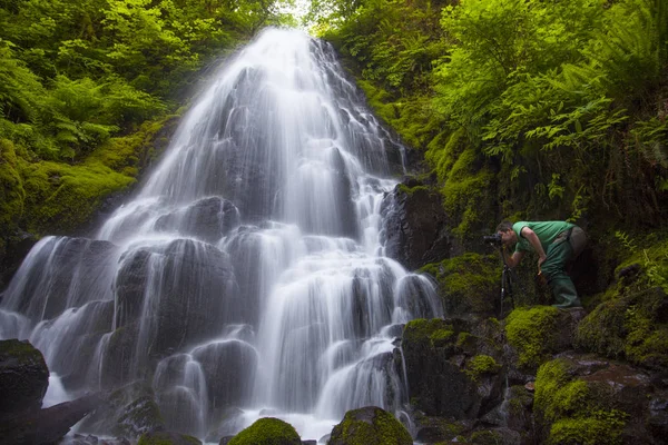 Cachoeira Fairy Falls Longo Wahkeena Creek Lado Oregon Columbia Gorge — Fotografia de Stock